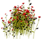 flowers anastasia - kostenlos png Animiertes GIF
