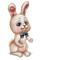 kanin-bunny - nemokama png animuotas GIF