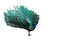 Peacock - безплатен png анимиран GIF