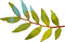 dolceluna deco png tube leaves leaf spring summer - zdarma png animovaný GIF