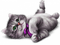 GATO - 免费PNG 动画 GIF