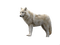 WOLF - kostenlos png Animiertes GIF