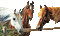 horses - 無料のアニメーション GIF アニメーションGIF