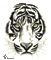 face de tigre - Bezmaksas animēts GIF animēts GIF