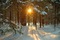 Paysage.Winter.Victoriabea - zadarmo png animovaný GIF