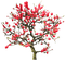 tree - Free PNG Animated GIF