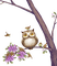 Kaz_Creations Owls Owl Birds Bird - png gratis GIF animasi