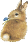 Easter.Bunny.Pâques.Lapin.Victoriabea - Free animated GIF Animated GIF