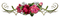 déco fleurs /Clody - gratis png geanimeerde GIF