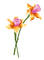Frühling, Blumen - zadarmo png animovaný GIF