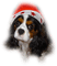 patymirabelle chien - PNG gratuit GIF animé