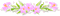kikkapink deco border flowers pink - Бесплатный анимированный гифка анимированный гифка