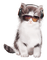 chat idca - Free PNG Animated GIF