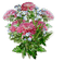 fleur - 無料png アニメーションGIF