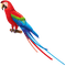 Kaz_Creations Parrot Bird - zadarmo png animovaný GIF