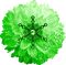 Snowflake.Glitter.Flower.Green - PNG gratuit GIF animé