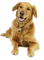 Kaz_Creations Dog Pup - ingyenes png animált GIF
