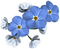 Kwiaty niebieskie - png ฟรี GIF แบบเคลื่อนไหว