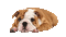 Kaz_Creations Animated Dog Pup - GIF animé gratuit GIF animé