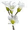 chantalmi fleur blanche animée - GIF animé gratuit GIF animé
