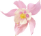 Kaz_Creations Deco Flower - zdarma png animovaný GIF