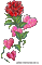 Rose hearts