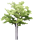 arbre - GIF animate gratis GIF animata