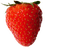 Tournesol94 fruit - δωρεάν png κινούμενο GIF
