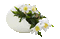 Frühlingsblumen - Darmowy animowany GIF animowany gif