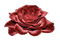 роза - безплатен png анимиран GIF