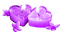 Candles.Hearts.Flowers.Purple - PNG gratuit GIF animé