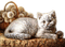 Rena Autumn Herbst Katze Cat - PNG gratuit GIF animé