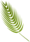 Palmblatt - ilmainen png animoitu GIF