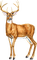 Cerf.s - Free PNG Animated GIF