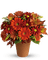 Kaz_Creations  Flowers Vase Plant - безплатен png анимиран GIF