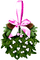 Mistletoe.Brown.White.Green.Pink - png gratuito GIF animata