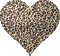 leopard heart