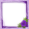 Frame.Rose.Purple - By KittyKatLuv65 - png gratuito GIF animata