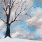 soave background animated winter forest tree - GIF animé gratuit GIF animé
