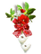 blomma-hjärta---flower-heart-red--röd - PNG gratuit GIF animé