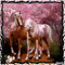 Maya's Horses - Ingyenes animált GIF animált GIF