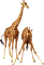 Жирафы - nemokama png animuotas GIF