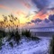 Kaz_Creations Beach Backgrounds Background - gratis png animeret GIF