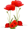 fleurs - ücretsiz png animasyonlu GIF