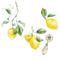 lemons Bb2 - GIF animé gratuit
