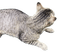 Long John the cat - безплатен png анимиран GIF