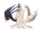 fantasy angel laurachan - PNG gratuit GIF animé