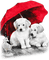 soave animals rain dog friends umbrella  autumn - png gratis GIF animado