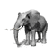 elephant - Gratis animerad GIF animerad GIF