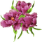 flowers katrin - ücretsiz png animasyonlu GIF